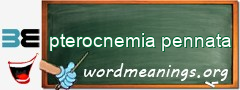 WordMeaning blackboard for pterocnemia pennata